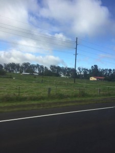 13000585_10154747222819128_1053514306_o